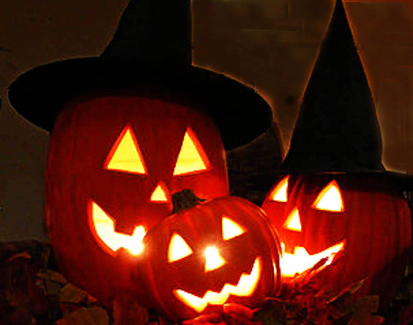 Đà Lạt: Những địa điểm chụp ảnh ‘ma ám’ mùa Halloween ảnh 3