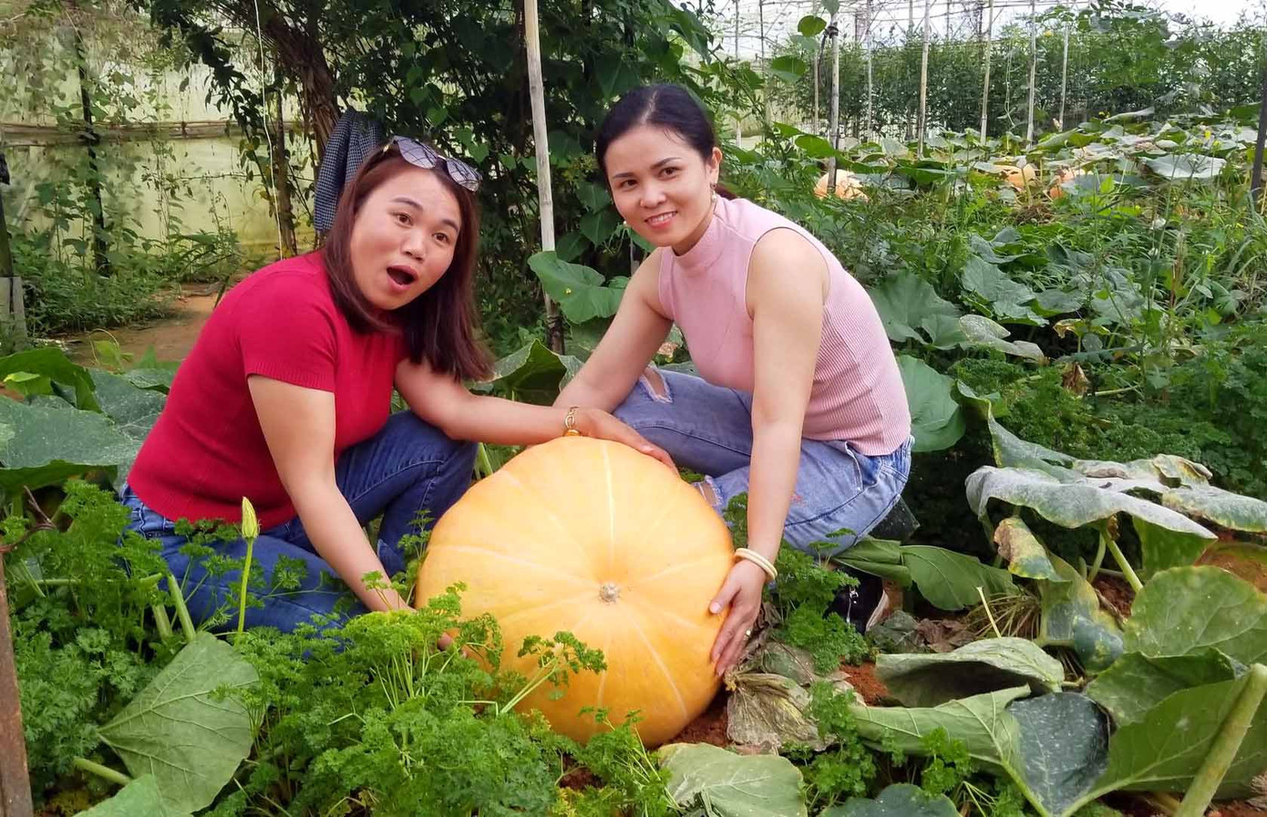 Đà Lạt: Những địa điểm chụp ảnh ‘ma ám’ mùa Halloween ảnh 4