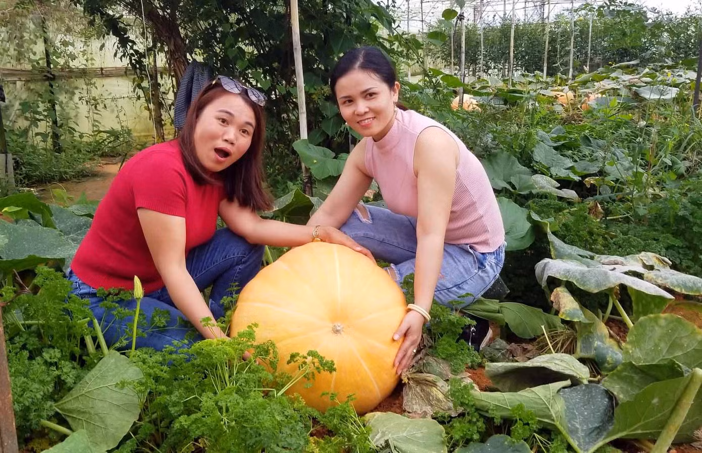 Đà Lạt: Những địa điểm chụp ảnh ‘ma ám’ mùa Halloween ảnh 4