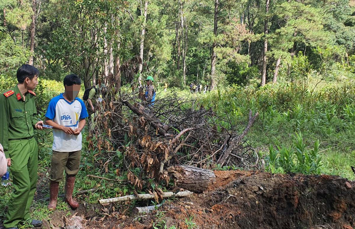 Bắt, triệu tập 8 đối tượng trong vụ tàn phá rừng phòng hộ ảnh 3