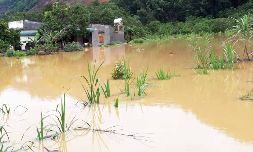 Nhiều cây ngã đổ trên đường, 2 người bị thương ở đèo Prenn ảnh 3