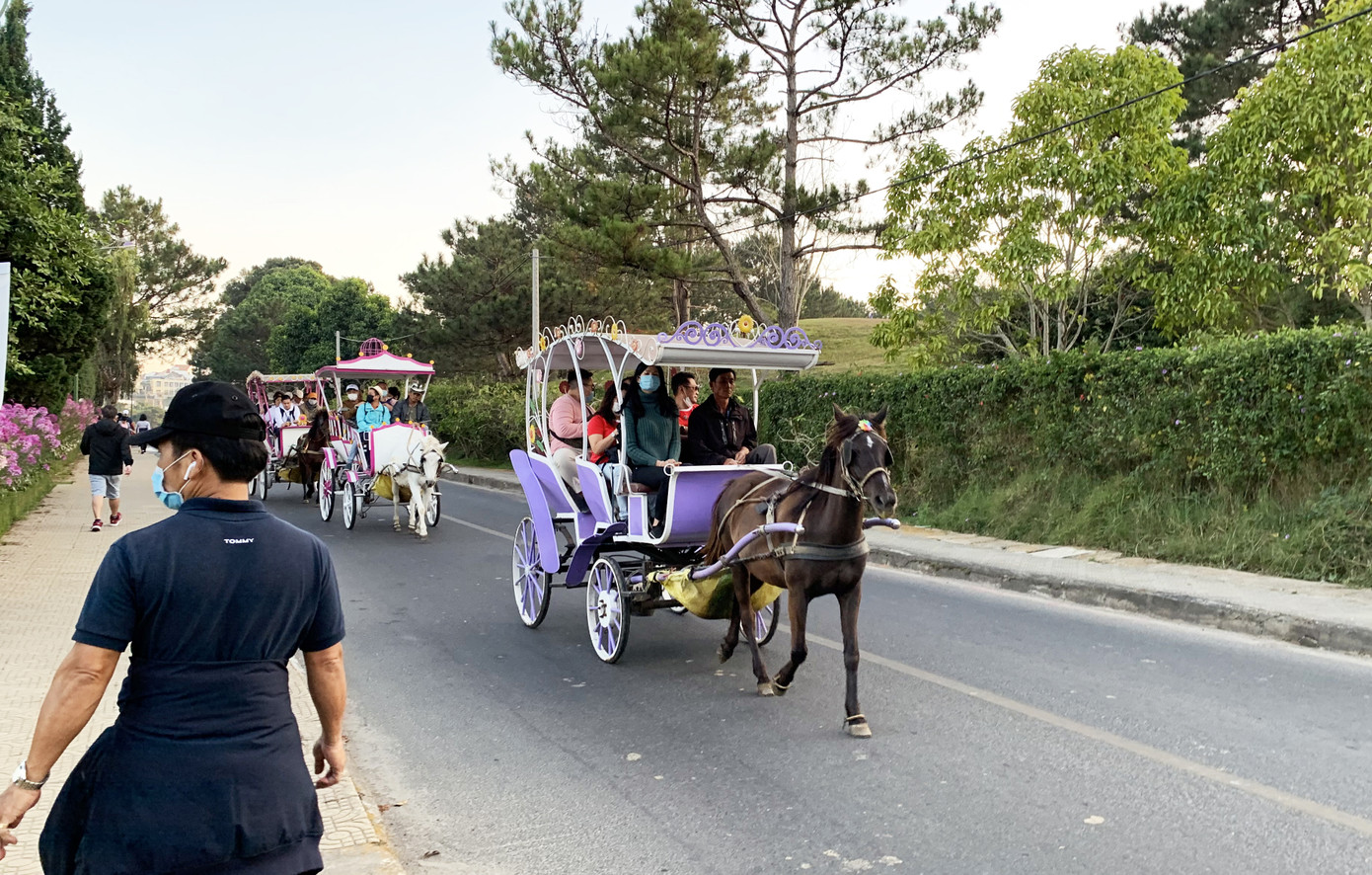 Đà Lạt rộng cửa đón du khách nhưng phạt người không đeo khẩu trang ảnh 3