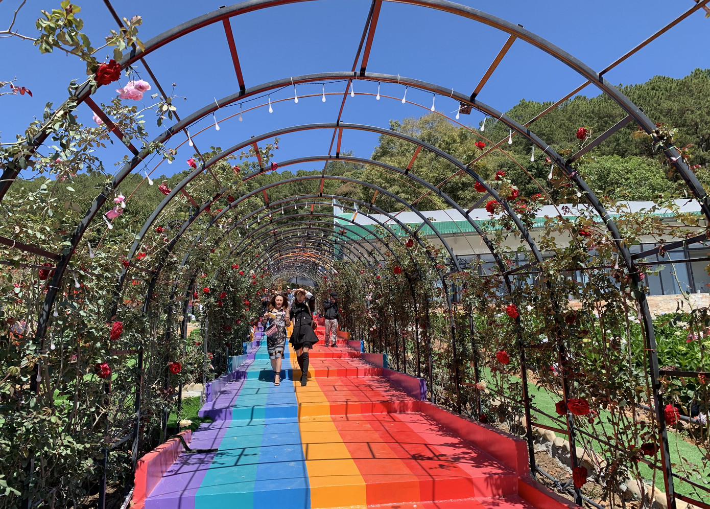 Chuỗi công trình 'chui' hoành tráng ở Vườn Thượng Uyển bay ảnh 4