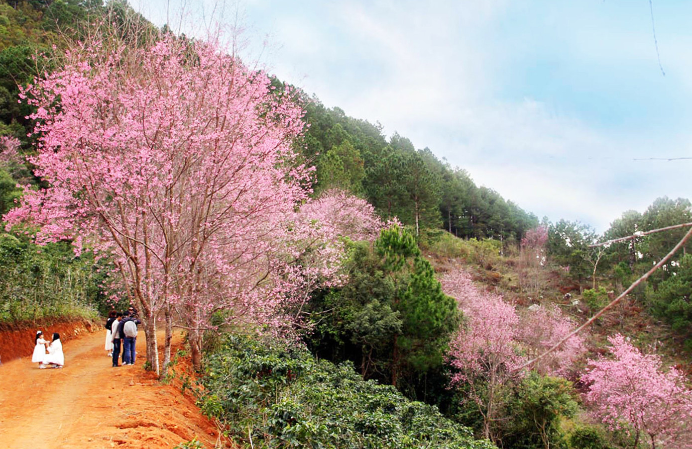 Đà Lạt tấp nập du khách dịp Tết Dương lịch 2021 ảnh 5