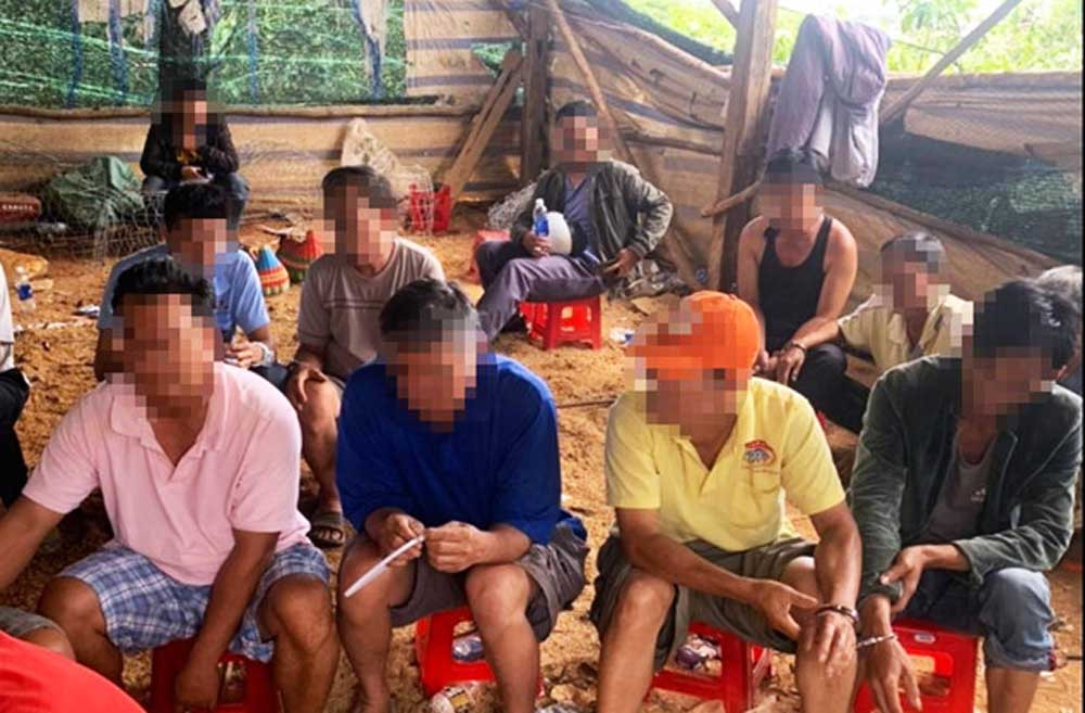 Đột kích trường gà giữa rẫy cà phê, bắt nhiều con bạc ảnh 1