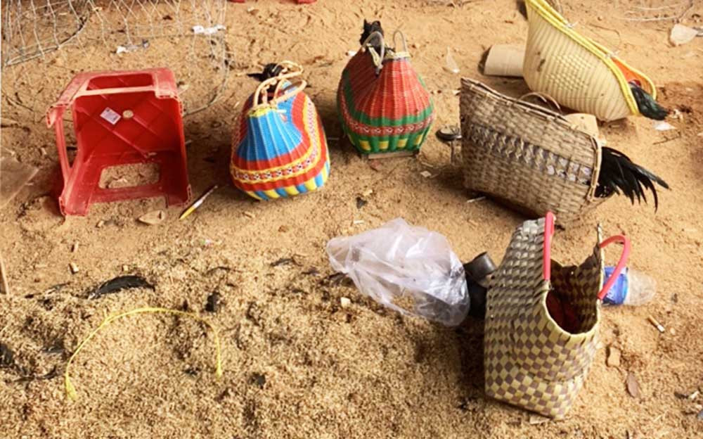 Đột kích trường gà giữa rẫy cà phê, bắt nhiều con bạc ảnh 2