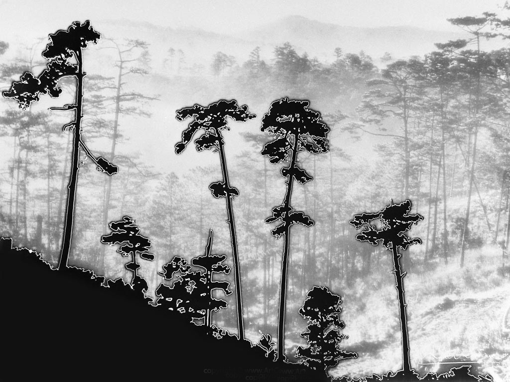 Những hình ảnh quý giá về Đà Lạt xưa giờ chỉ còn trong kí ức ảnh 2