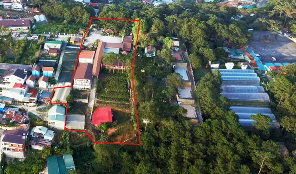 Lấn chiếm 'rừng tình' Đà Lạt làm nhà hàng hoành tráng ảnh 1