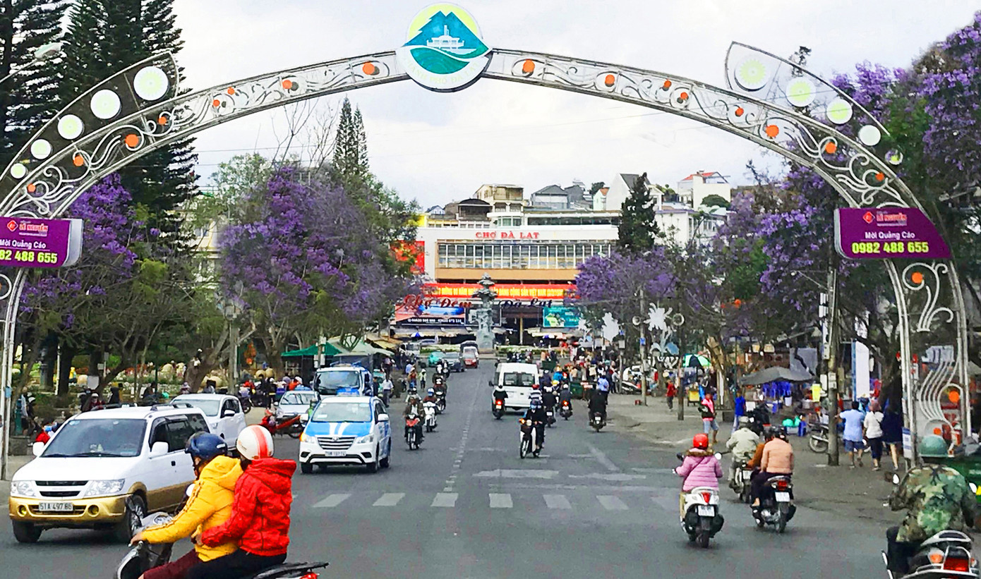 Chuyện về những cây phượng tím 'di sản' ở Đà Lạt ảnh 2