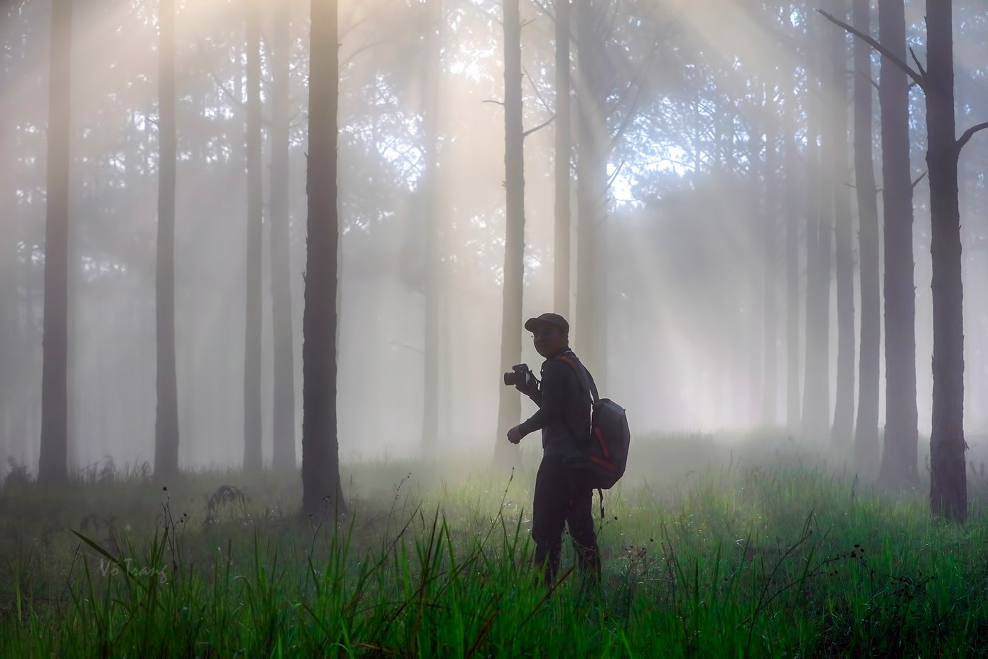 Tết Dương lịch đến Đà Lạt săn mây, ngắm hoa ảnh 4