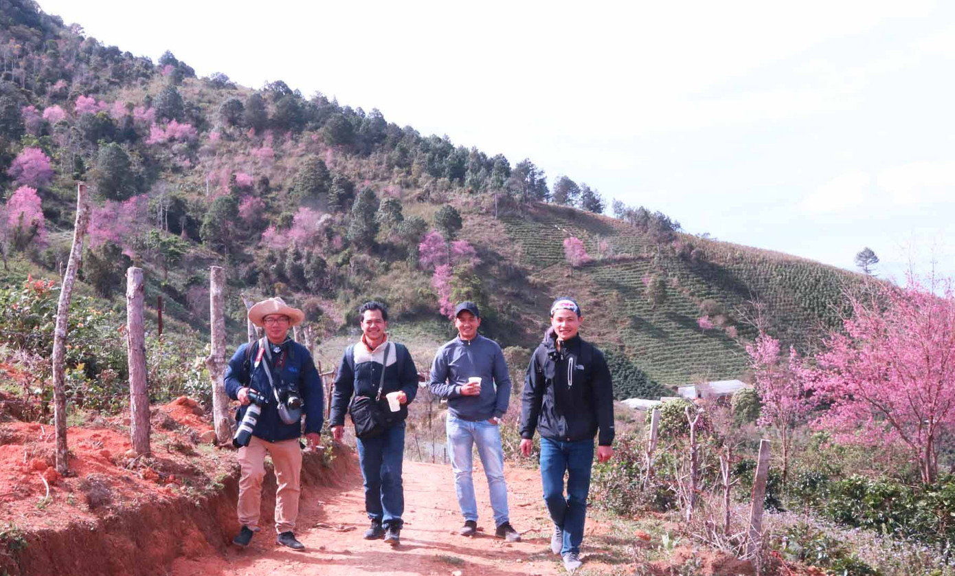 Tết Dương lịch đến Đà Lạt săn mây, ngắm hoa ảnh 3