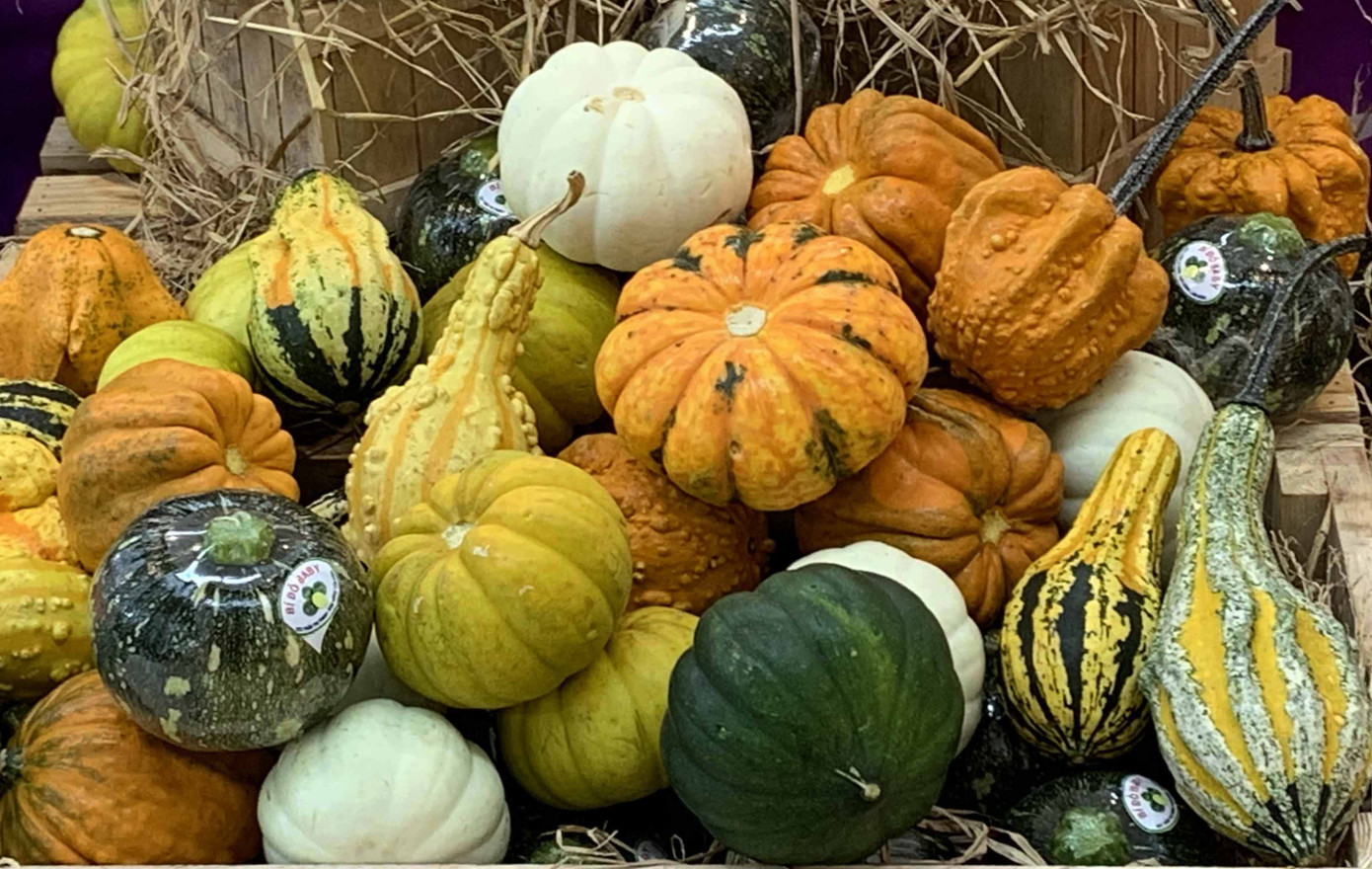 Giỏ quà Tết nông sản sạch Đà Lạt ảnh 4