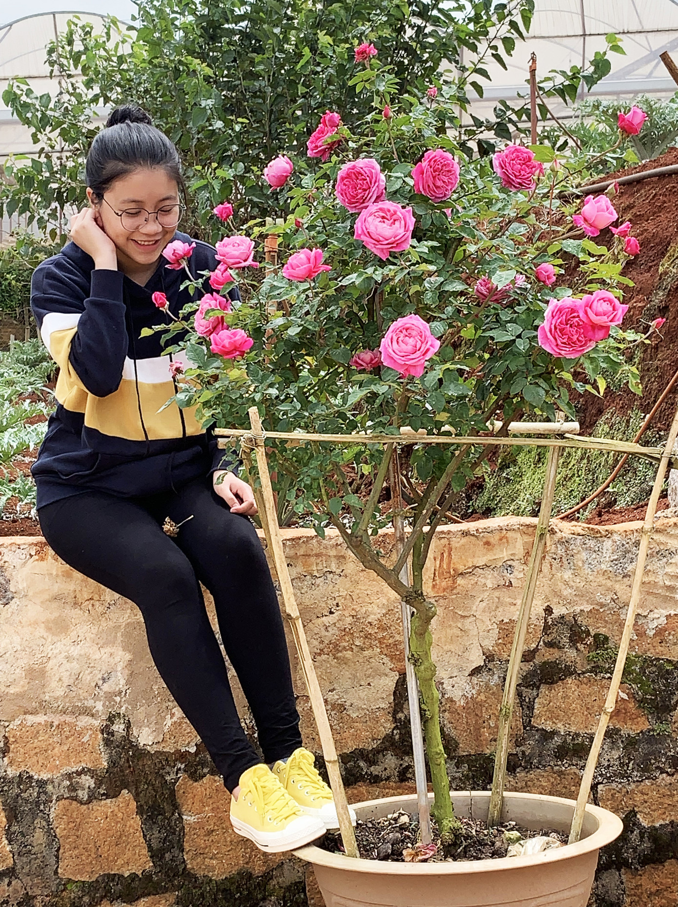 Nhà vườn trồng hoa ở Đà Lạt thấp thỏm trước COVID-19 ảnh 4