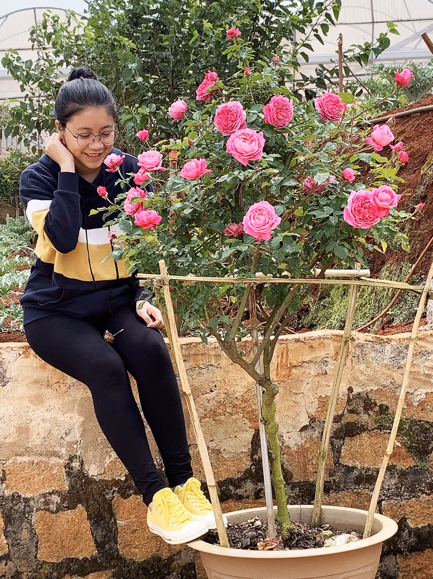 Nhà vườn trồng hoa ở Đà Lạt thấp thỏm trước COVID-19 ảnh 4
