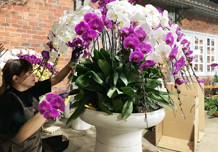 Nhà vườn trồng hoa ở Đà Lạt thấp thỏm trước COVID-19 ảnh 1