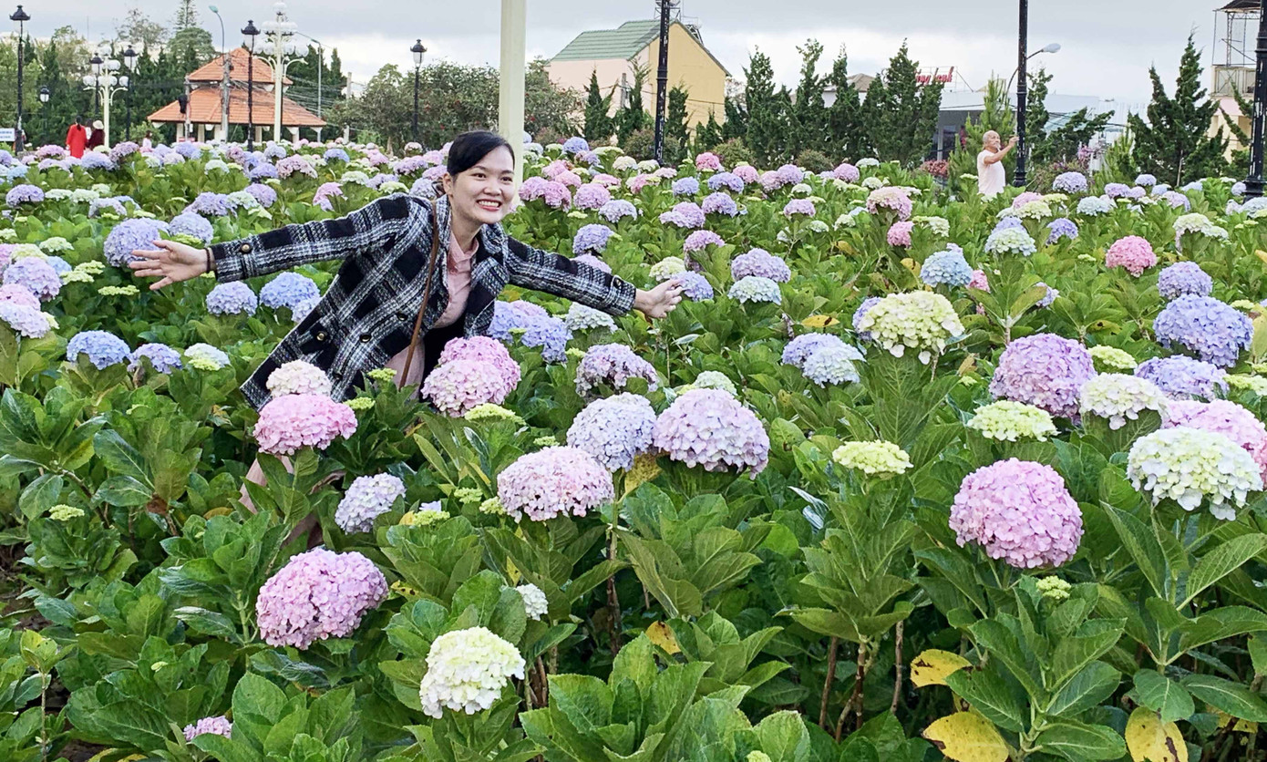 Du khách đến Đà Lạt Tết dương lịch mê mẩn những cánh đồng hoa ảnh 4