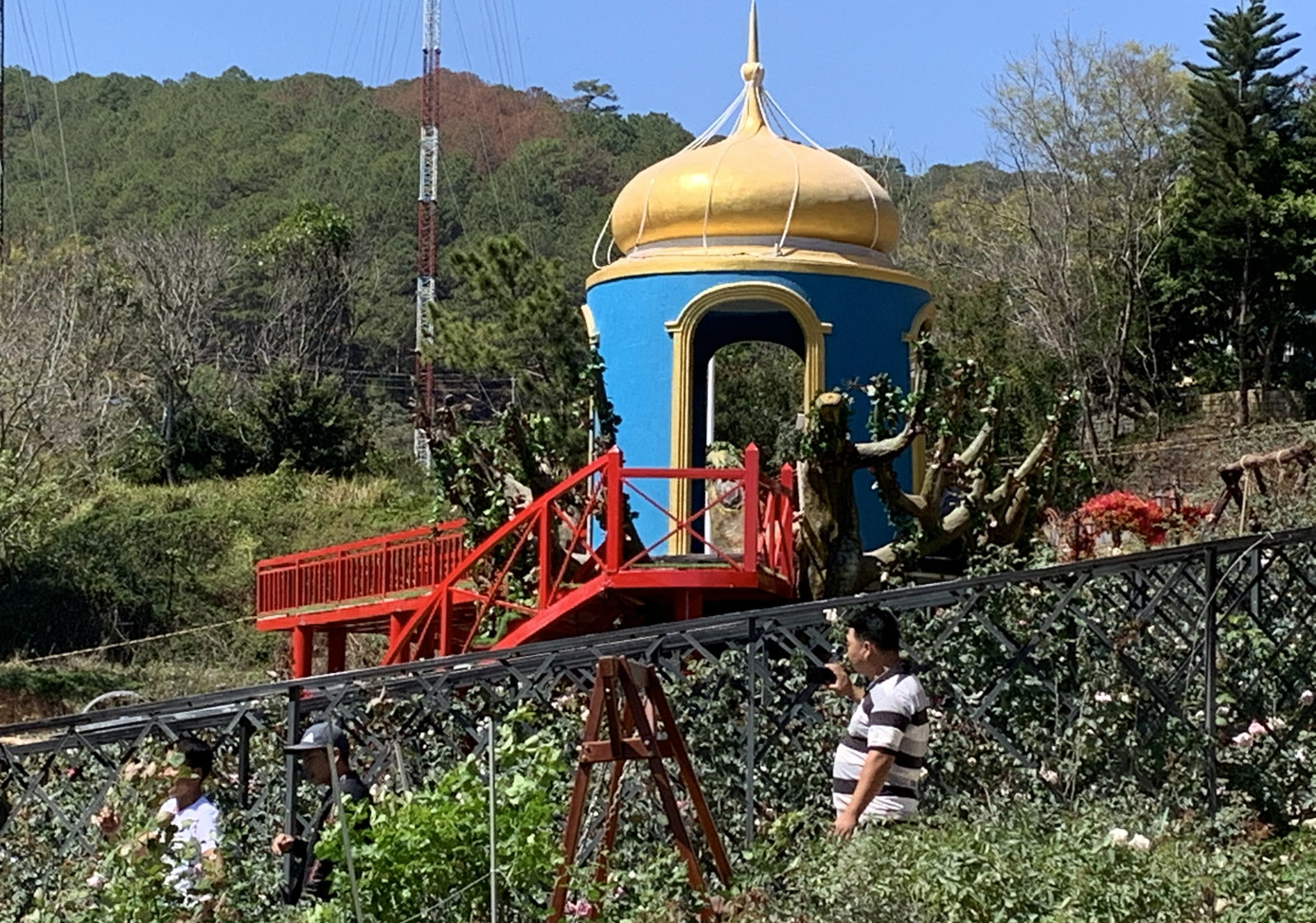 Kiến nghị dừng bán vé tham quan 'Vườn thượng uyển bay' Đà Lạt ảnh 4
