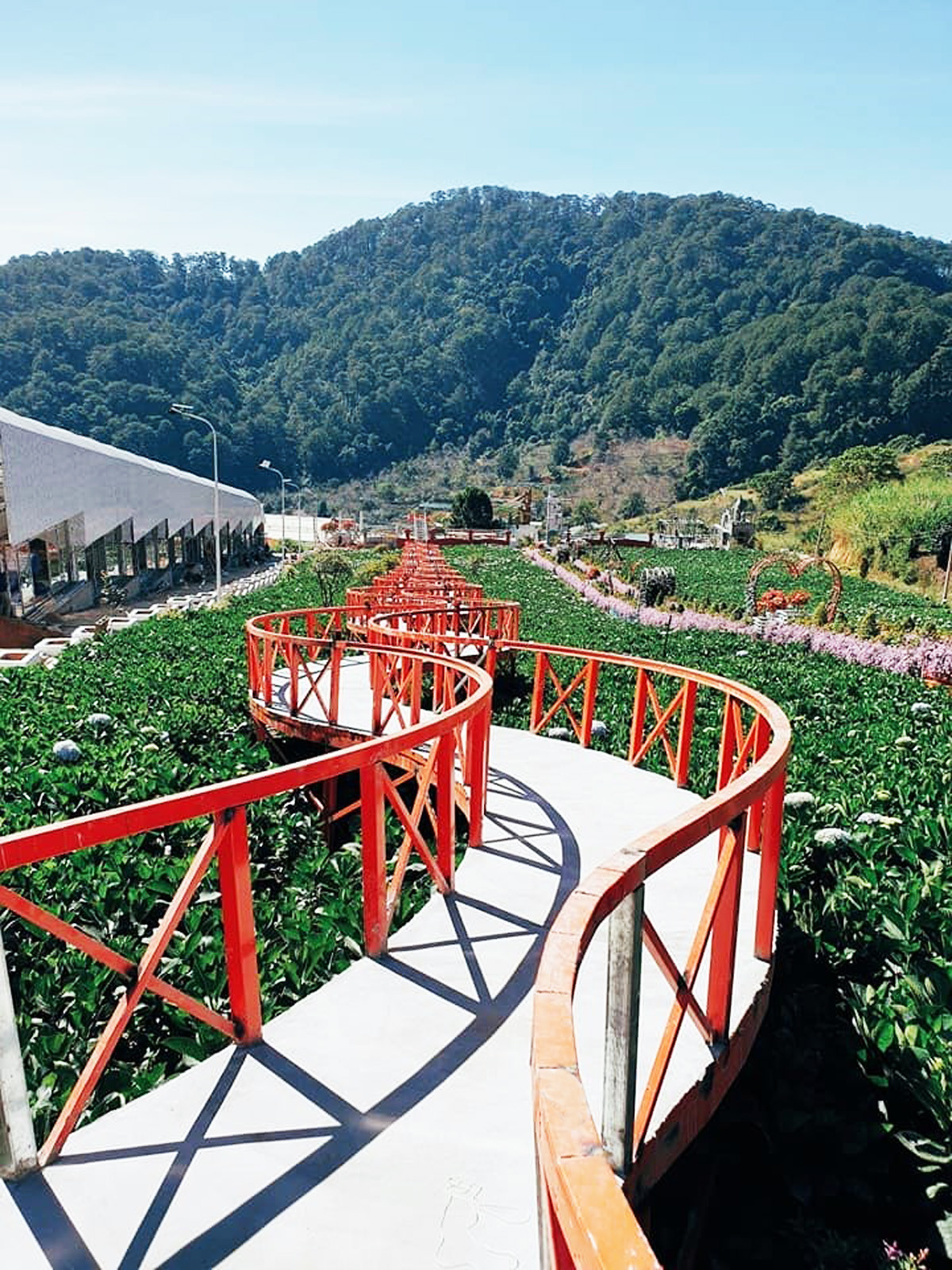 Kiến nghị dừng bán vé tham quan 'Vườn thượng uyển bay' Đà Lạt ảnh 3