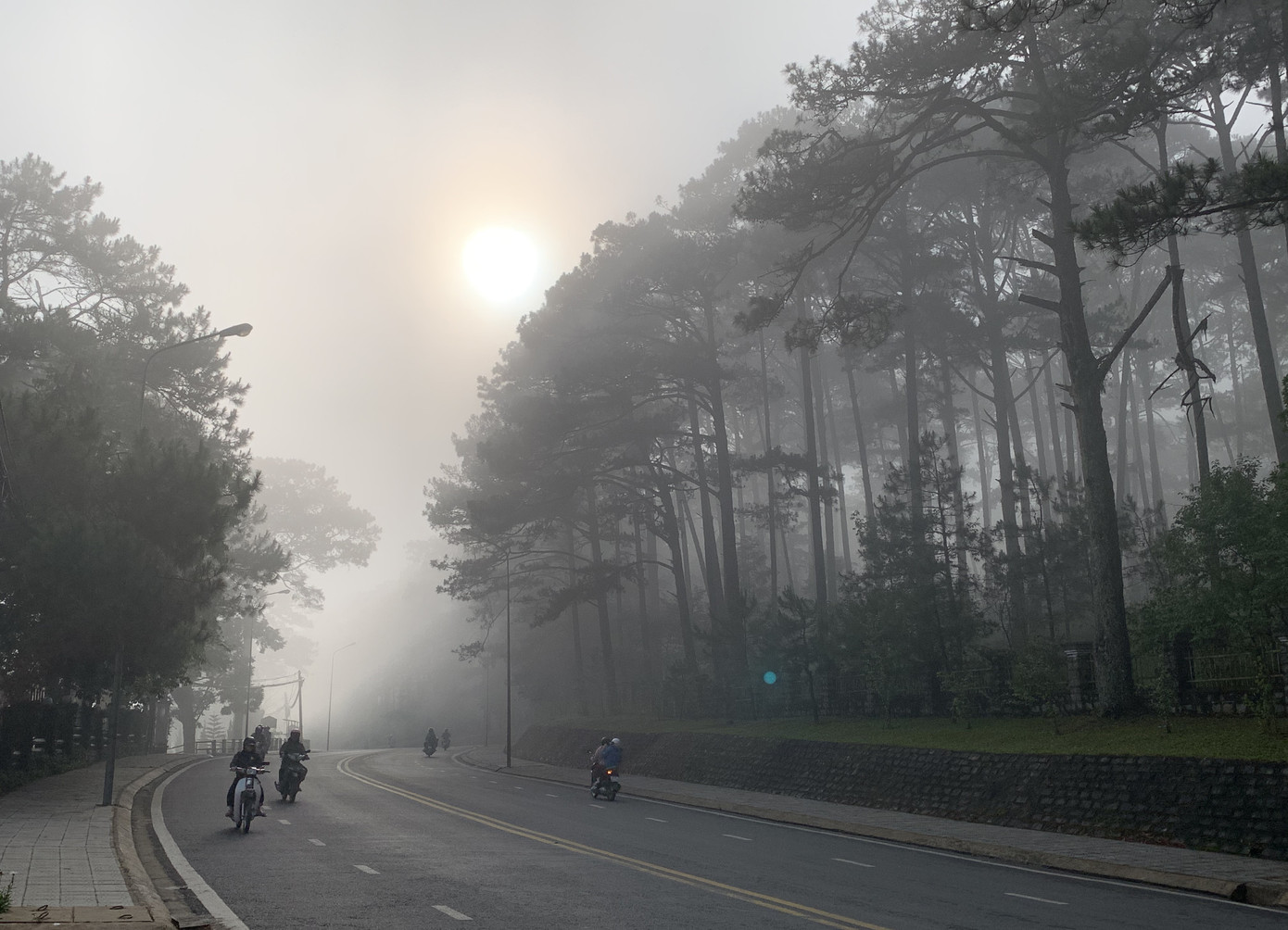 Bất ngờ Đà Lạt đẹp mê hoặc giữa 'biển sương', huyền ảo như chốn bồng lai ảnh 5