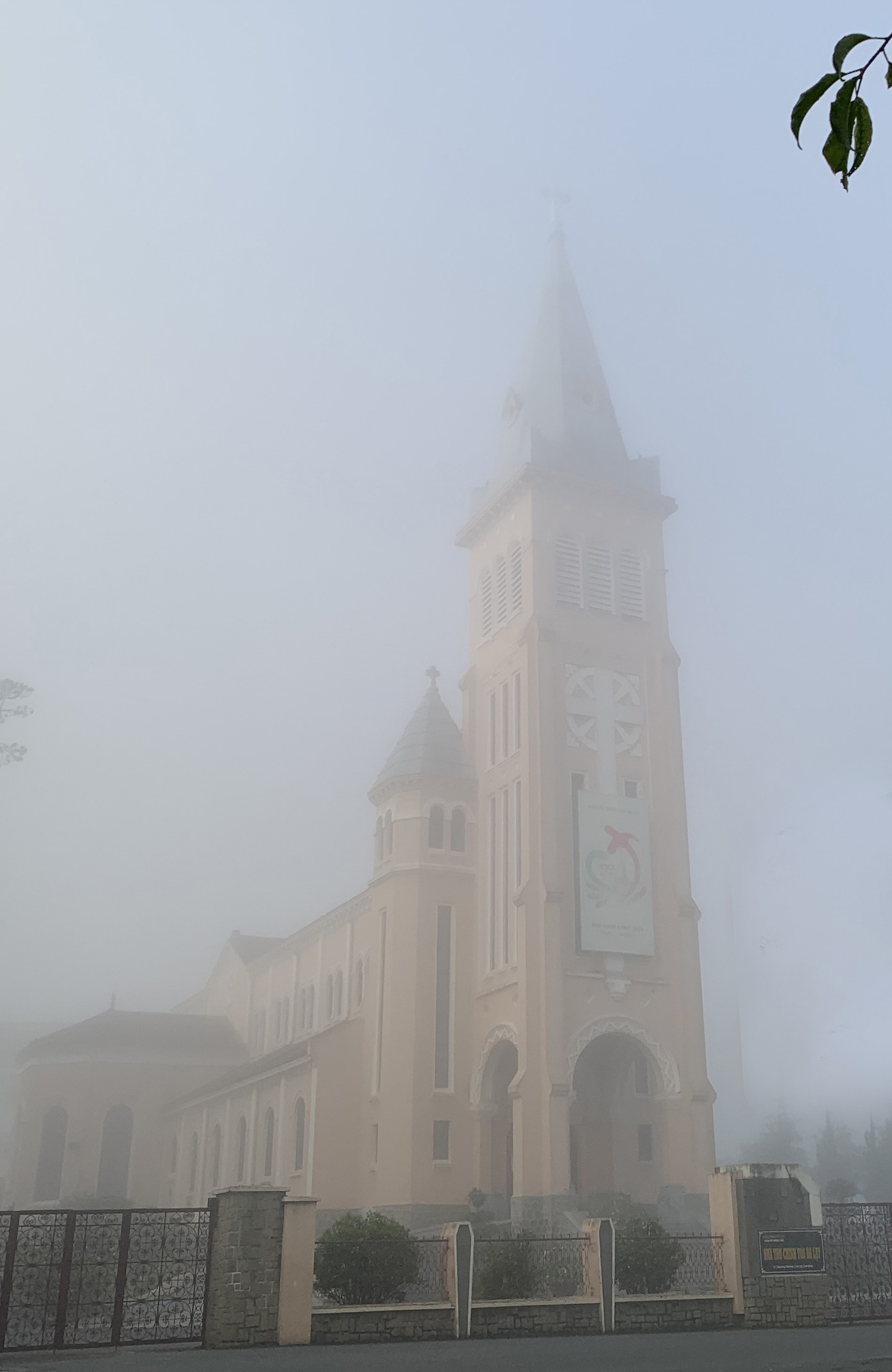 Bất ngờ Đà Lạt đẹp mê hoặc giữa 'biển sương', huyền ảo như chốn bồng lai ảnh 4