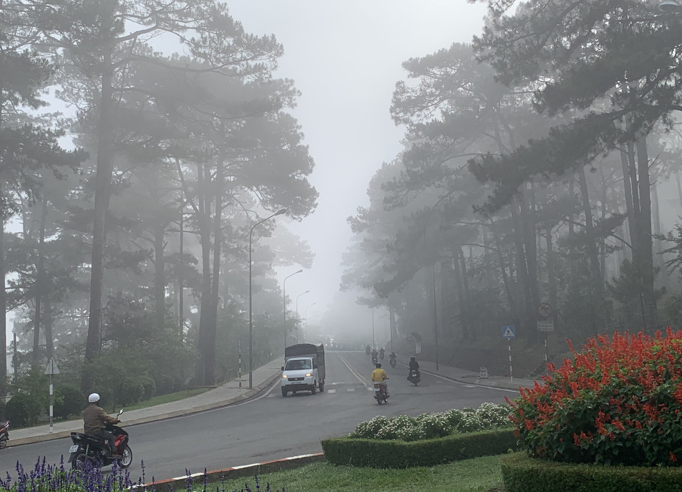 Bất ngờ Đà Lạt đẹp mê hoặc giữa 'biển sương', huyền ảo như chốn bồng lai ảnh 1