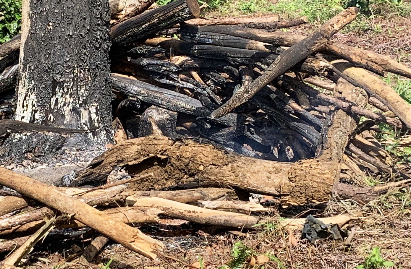 Lâm Đồng: Chấm dứt dự án sân golf theo kết luận của Thanh tra Chính phủ ảnh 2