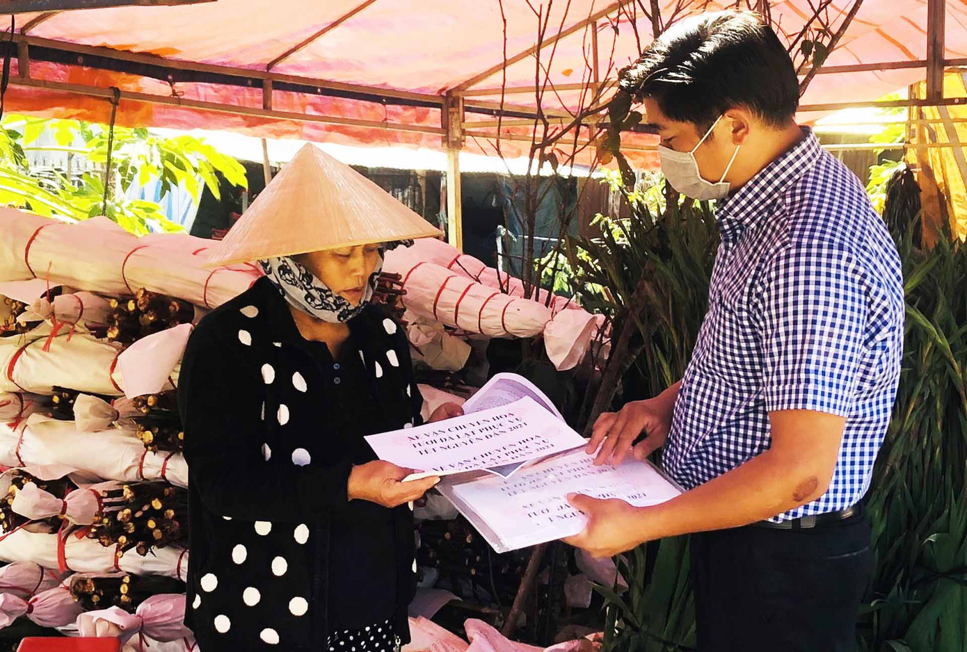 Các thành phố lớn chung tay ‘giải cứu’, giá hoa Đà Lạt nhích dần lên ảnh 4