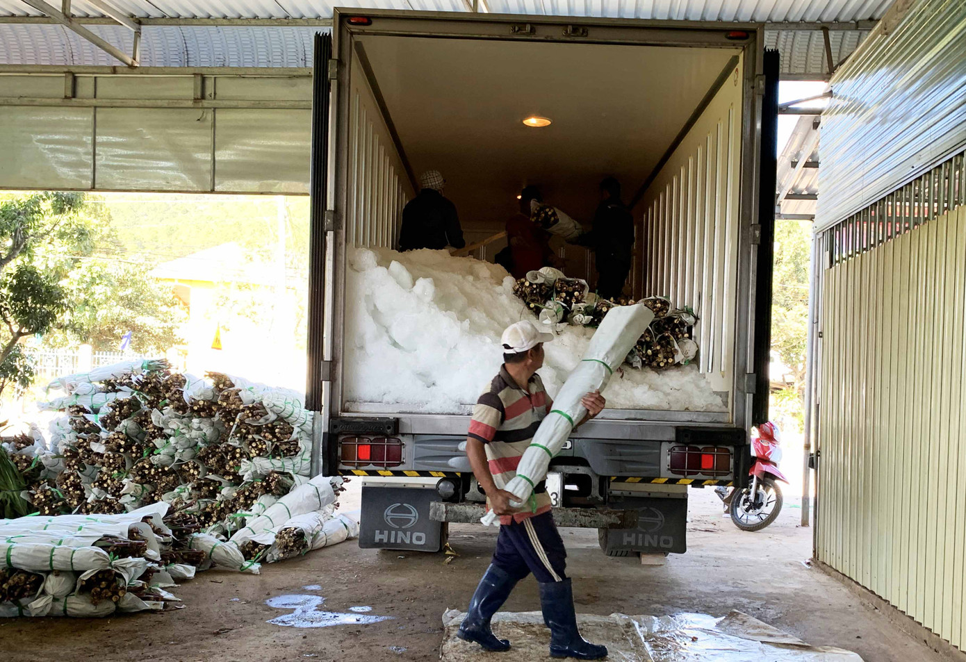 Các thành phố lớn chung tay ‘giải cứu’, giá hoa Đà Lạt nhích dần lên ảnh 1
