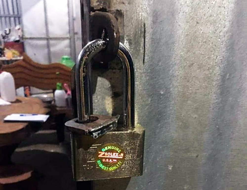 Kẻ gian bẻ khóa trộm 150 giò phong lan tiền tỷ, khổ chủ ngất xỉu ảnh 3