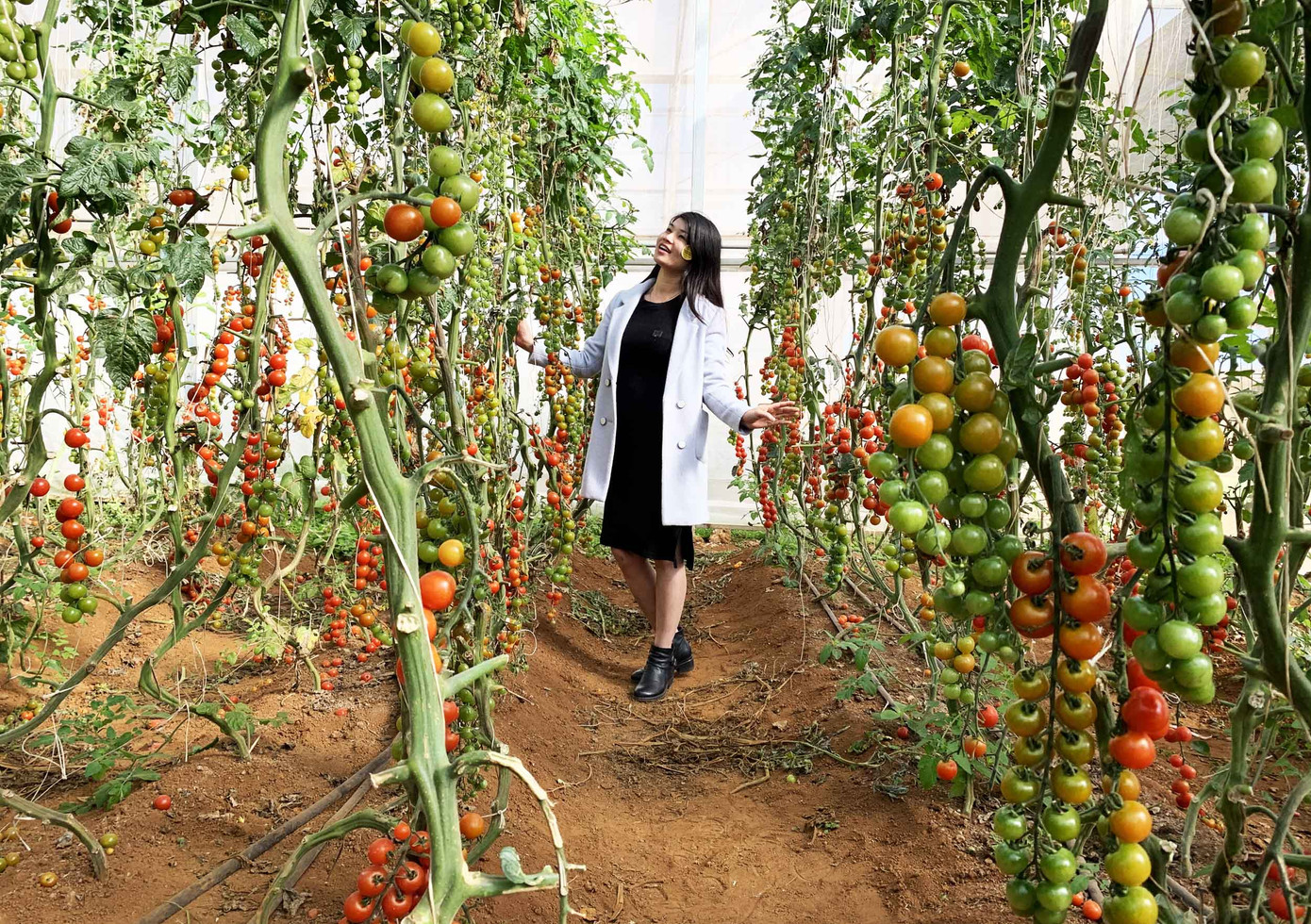 Lâm Đồng ngừng mô hình du lịch canh nông vì nhiều vi phạm ảnh 4