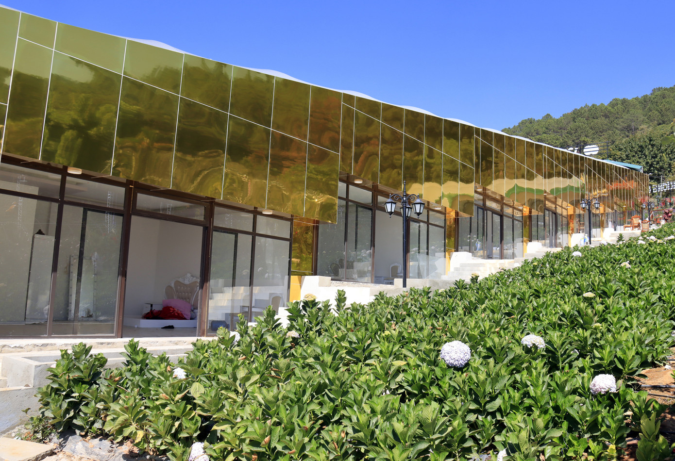 Lâm Đồng ngừng mô hình du lịch canh nông vì nhiều vi phạm ảnh 1