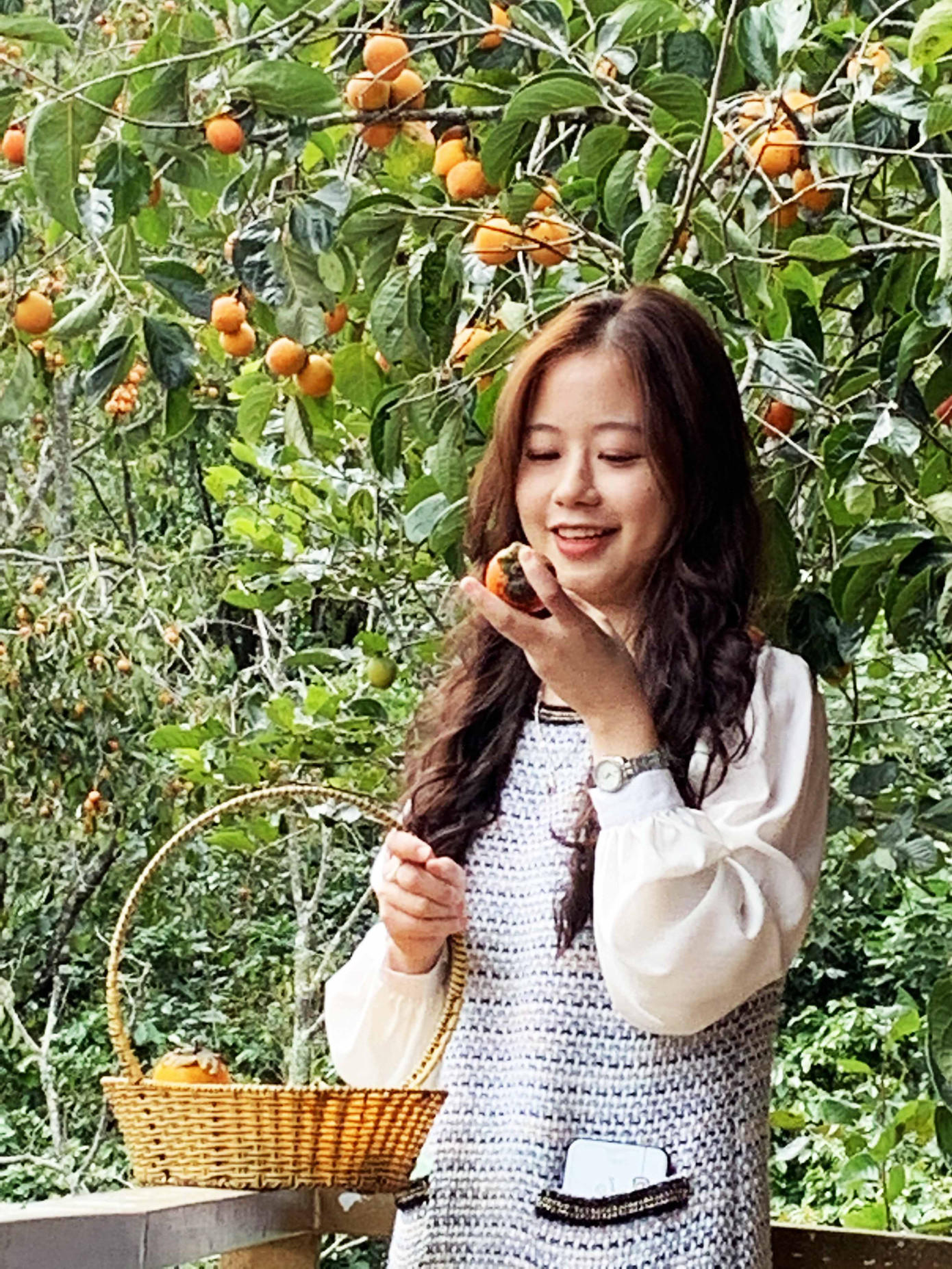 Làng hồng lâu đời nhất miền Nam hồi sinh ảnh 4