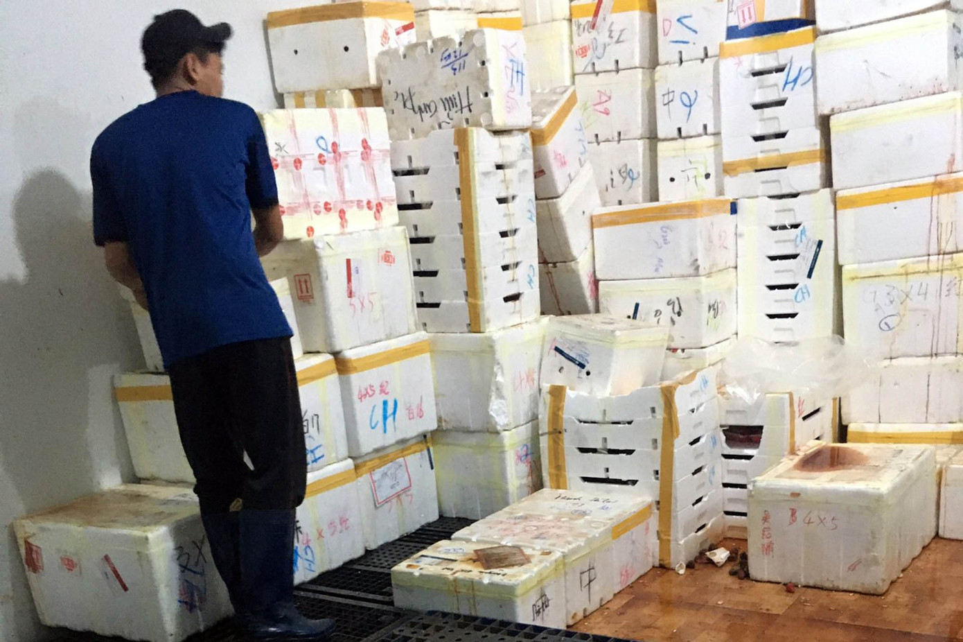 Lâm Đồng tiêu hủy hơn 8,7 tấn dâu tây, nghi nhập từ Trung Quốc ảnh 3