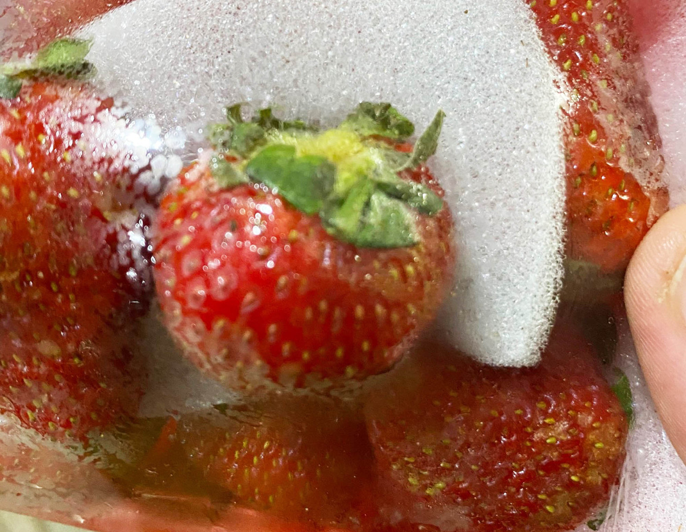 Lâm Đồng tiêu hủy hơn 8,7 tấn dâu tây, nghi nhập từ Trung Quốc ảnh 2