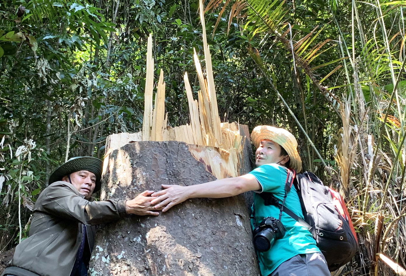 Rừng nguyên sinh bị tàn phá, gỗ lậu lọt vào nhà... Tổ trưởng bảo vệ rừng ảnh 2