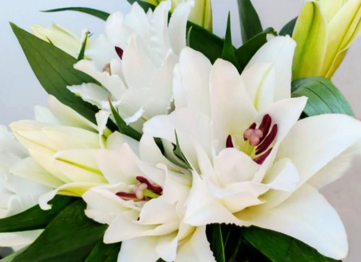 Đà Lạt tung ra thị trường nhiều giống hoa độc, lạ dịp Tết Nguyên đán ảnh 3