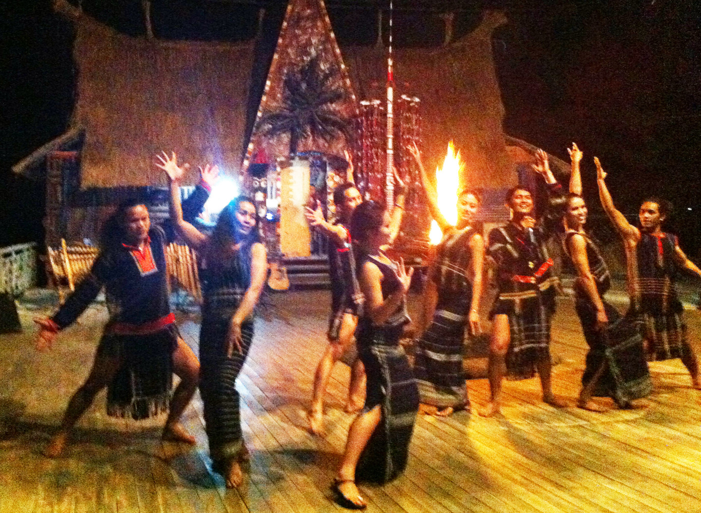 Đà Lạt: Hàng trăm loài hoa trên thế giới sẽ khoe sắc vào đêm ảnh 3