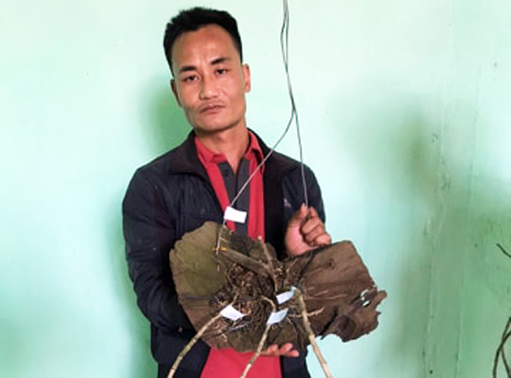 Khởi tố nhóm nghiện ma túy trộm 150 chậu lan hàng tỷ đồng ảnh 1