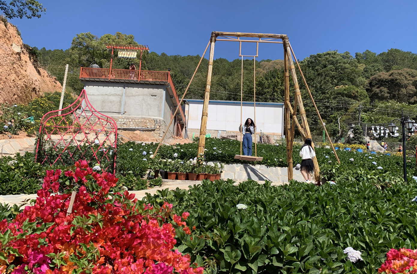 Cưỡng chế tháo dỡ công trình trái phép tại Vườn thượng uyển bay ảnh 2