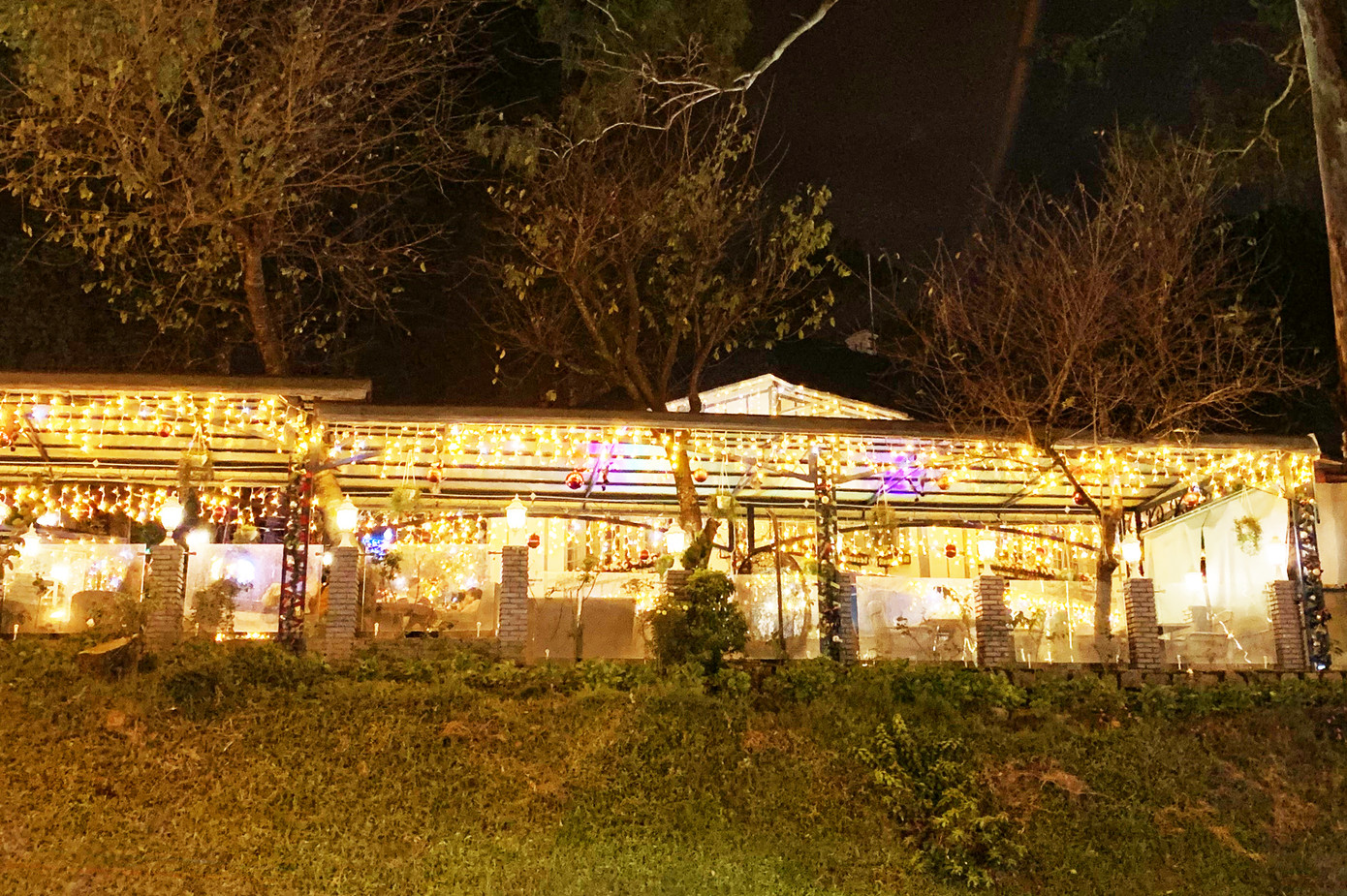 Đà Lạt se lạnh, lung linh rực rỡ trong mùa Giáng sinh ảnh 5