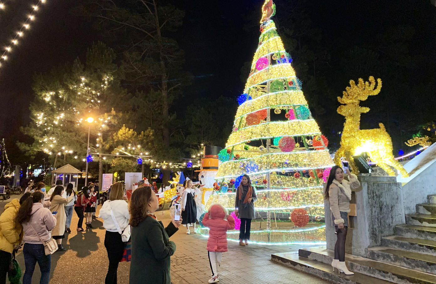 Đà Lạt se lạnh, lung linh rực rỡ trong mùa Giáng sinh ảnh 1