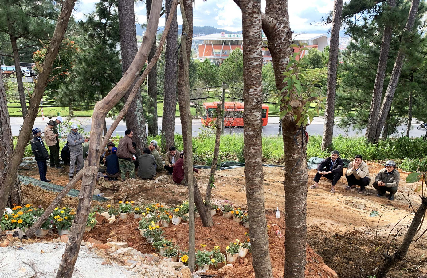 Đà Lạt: Xử lý vụ lấn chiếm đất rừng gây xôn xao dư luận ảnh 3