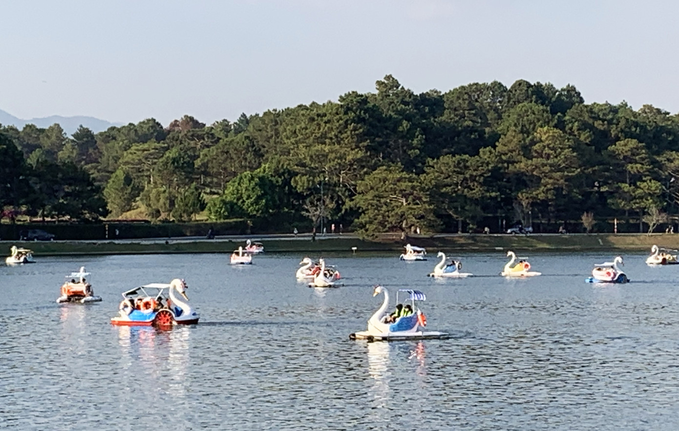 Du khách đổ về Đà Lạt, nhiều người chủ quan với dịch COVID-19 ảnh 3