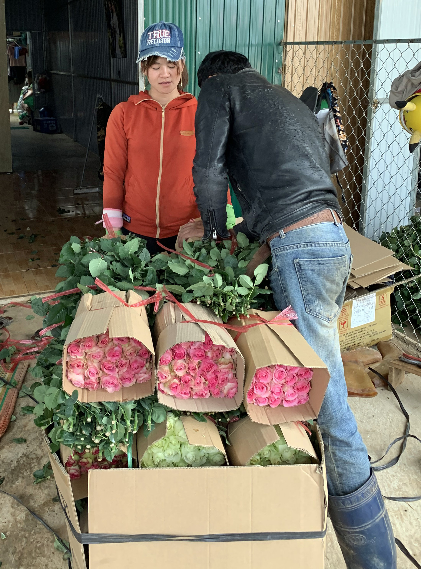 Hoa hồng đẹp nức tiếng Đà Lạt bị đốt, đổ bỏ khắp nơi ảnh 2