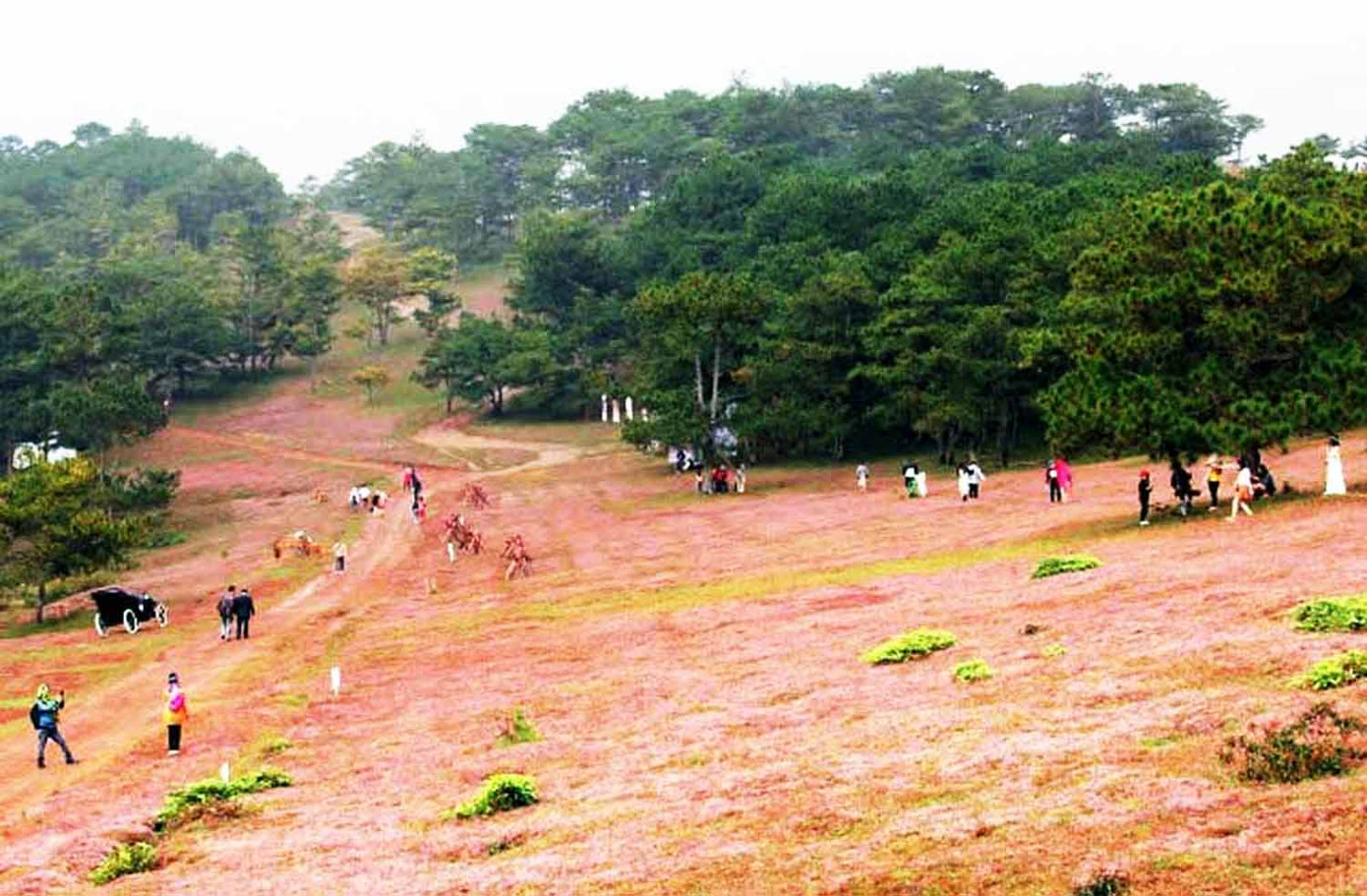 Trai đua ngựa không yên, gái 'bắt chồng' trên thảo nguyên cỏ hồng ảnh 1