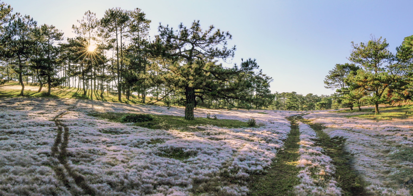 Trai đua ngựa không yên, gái 'bắt chồng' trên thảo nguyên cỏ hồng ảnh 3