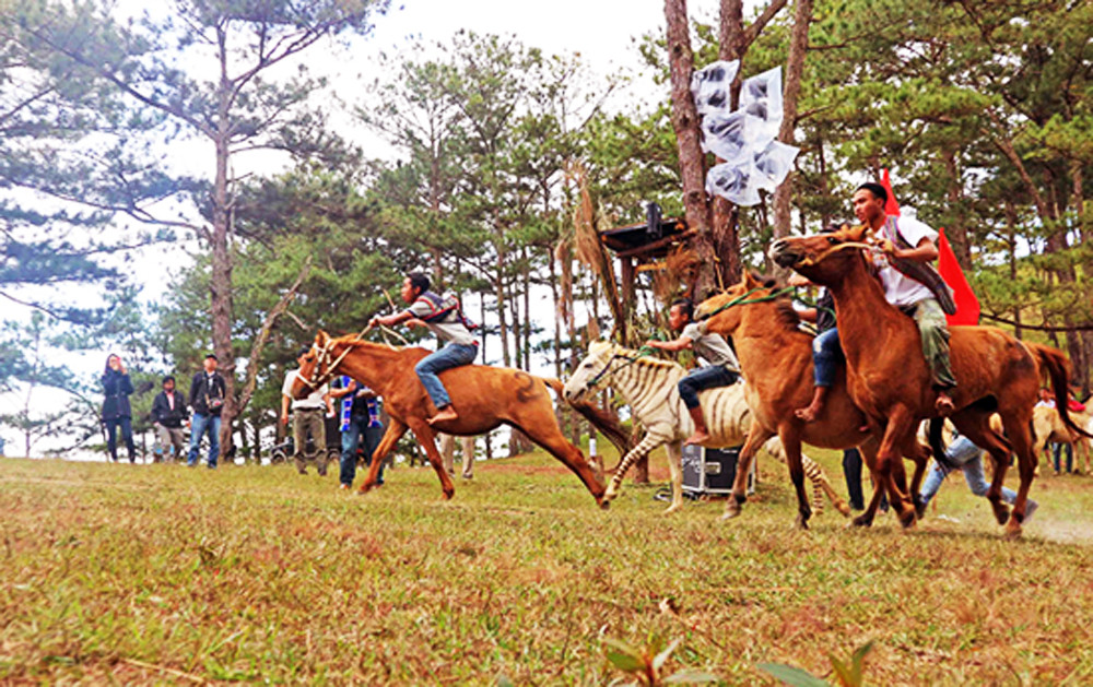Trai đua ngựa không yên, gái 'bắt chồng' trên thảo nguyên cỏ hồng ảnh 2