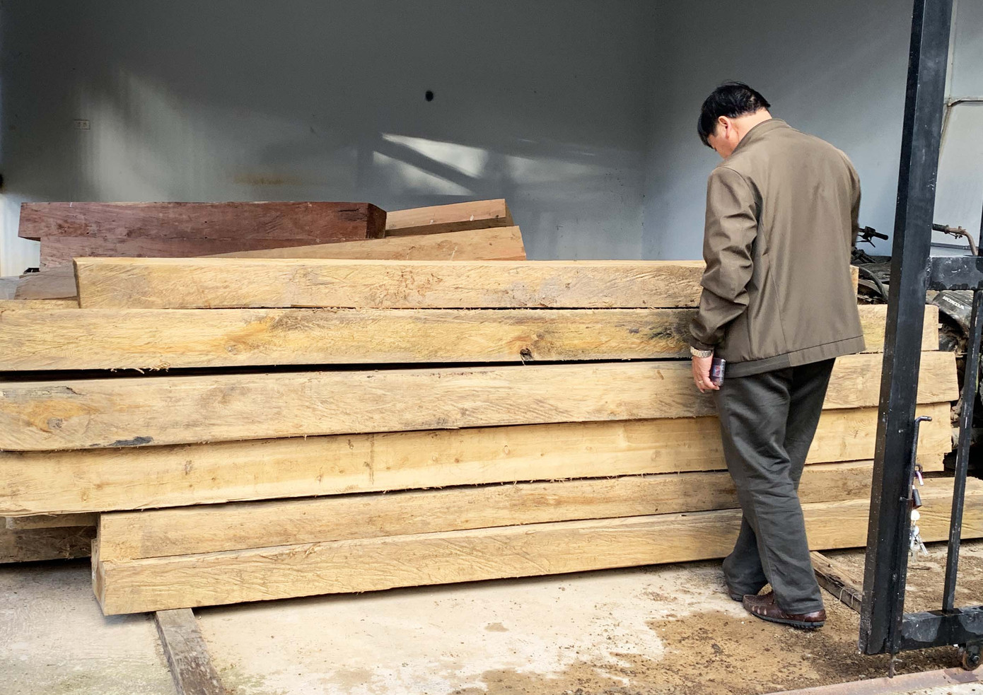 Khởi tố vụ tàn phá rừng bạch tùng cổ thụ hàng trăm năm tuổi ảnh 2