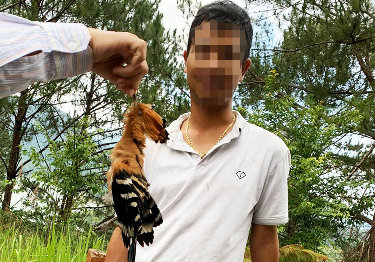 Phạt 10 triệu đồng đối tượng bắn chết chim đầu rìu tuyệt đẹp ở Đà Lạt ảnh 1