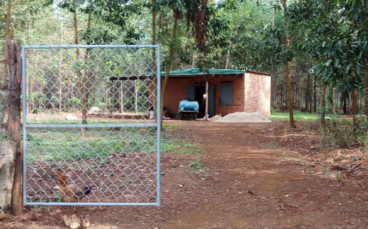 Tái diễn tình trạng đào hố chôn giấu thông, chính quyền loay hoay tới khi nào? ảnh 4